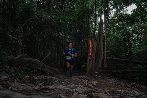 BIB: 
                            <button type="button" onclick="openModal(25796562)" class="btn btn-primary btn-sm float-right btn-popup" data-toggle="modal" data-target=".modal-high-quality">
                        <i class="fas fa-shopping-cart"></i> Add to Cart
                    </button>
                                            <button type="button" onclick="isThisMe(25796562, true)" class="btn btn-success btn-sm float-right btn-popup btn-isme hidden" data-toggle="tooltip" data-placement="bottom" title="นี่คือรูปของคุณใช่ไหม คลิกที่นี่เพื่อเอาเข้าอัลบั้ม">
                        <i class="fas fa-plus"></i> Add to album
                    </button>
                    <button type="button" onclick="isThisMe(25796562, false)" class="btn btn-warning btn-sm float-right btn-popup btn-isnotme hidden">
                        <i class="fas fa-ban"></i> Remove from album
                    </button>